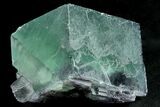 Deep Green Cubic Fluorite Crystal - China #293805-1